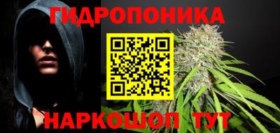Альфа ПВП Чапаевск