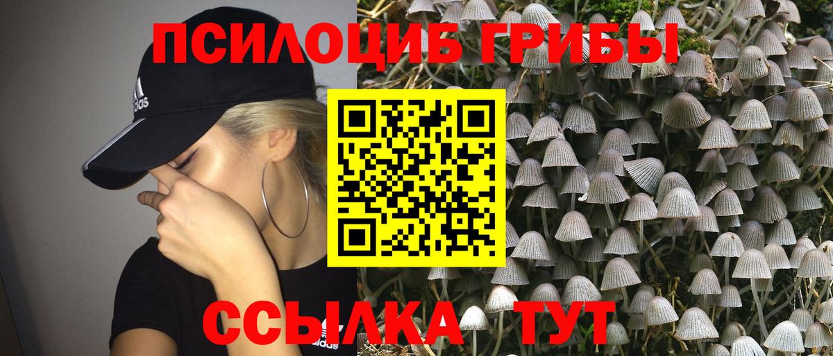 Белорецк  Галлюциногенные грибы прущие грибы  Вход с VPN 